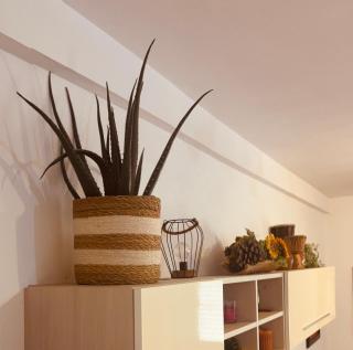 Relax Salento - 7
