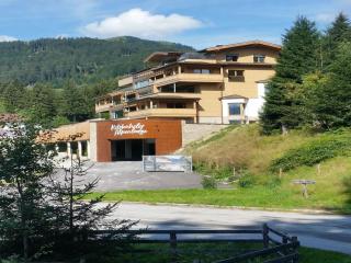 Kitzbühel alpine lodge with sauna - 6