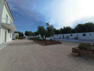 Tenuta viale degli ulivi - 9