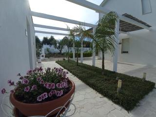 Tenuta viale degli ulivi - 8
