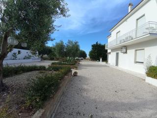 Tenuta viale degli ulivi - 4