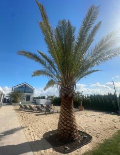 Silver Park Resort 10m do plaży - 9