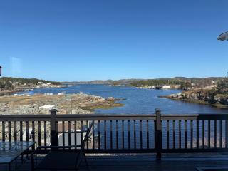 Wild Rose Cottage Purcell's Harbour Twillingate - 1