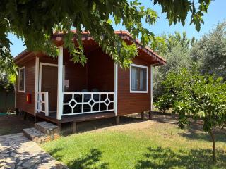 Villa Efsane Hotel - 7