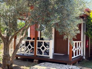 Villa Efsane Hotel - 8