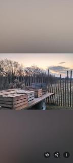 Agroturystyka Zdrowo przez sad - 6