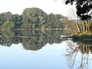 Ferienhaus direkt am Schmalensee - Schmalensee - 7