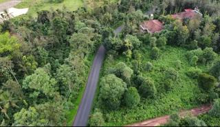 Kushi estate stay Thalathmane madikeri - 8