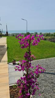Sol Apartments Albania - 2