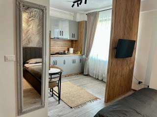 Sofia Residence Studio Cetate - 0