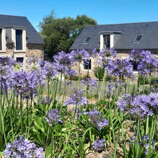 Maison Raguenez 4 places proche Paimpol et Tréguier - 8