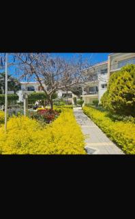 Sunrise Beach Club Coastal Apt- seaside & Pool - 9