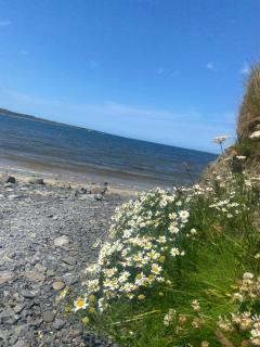 Doonbeg Castle View - 1