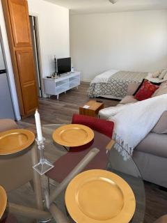 Walk to 2 metro's, furnished studio, private, parking, wifi. - 2