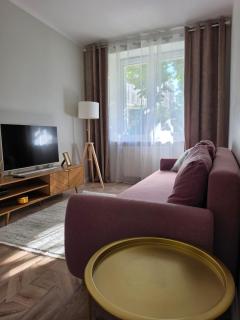 Olive Apartment Częstochowa Centrum 2-bedroom - 6