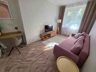 Olive Apartment Częstochowa Centrum 2-bedroom - 1