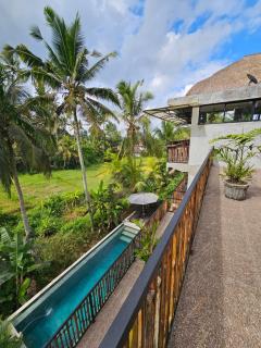 Bali View Ubud Hotel - 8