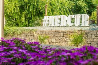 Hotel Mercur - 0