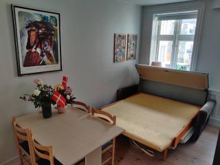 Lovely apartment in the heart of Frederiksberg - 2