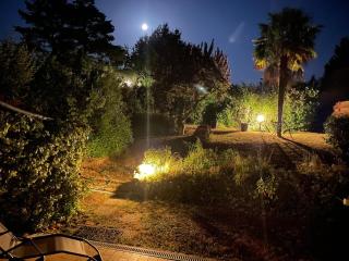 Birdie Village le Chat by Fabien - 0