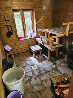 Romantic Countryside Sauna Cabin near Lake Päijänne - 1