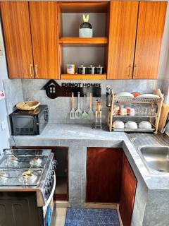 Ekinot homes - 4