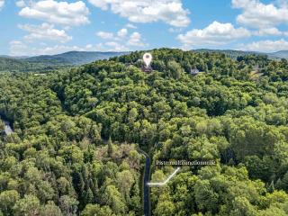 Alpine View Lodge - Cozy Private Chalet in Mont-Tremblant - 3