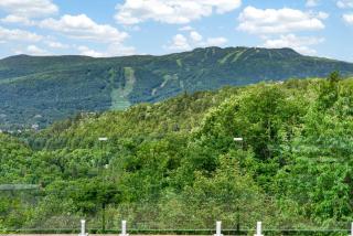 Alpine View Lodge - Cozy Private Chalet in Mont-Tremblant - 2