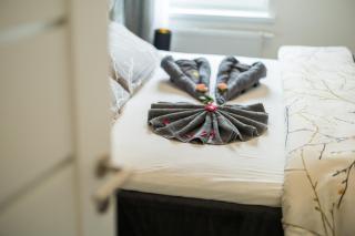 A5 ruhiges 3-Zimmer-Studio mit Balkon - 8