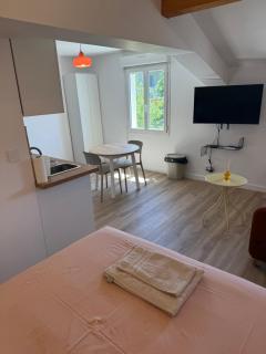 Studio Ô Maé proche Village Outlet - Aéroport - St-Quentin-Fallavier - 8