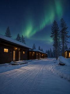 Arctic Forest Hideaway with Private Sauna - 4
