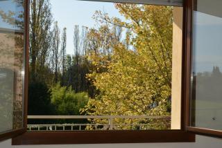 LA PIGNA Ravenna, Mirabilandia, Mare, Natura, Bike Friendly - 9