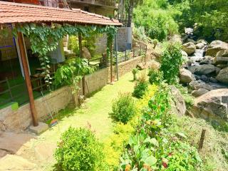 Cinnamon River Cabana - 1