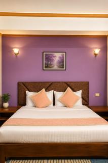 Nikita Home stay Goa - 7
