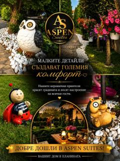 Aspen Boutique Suites Near to Bansko - Razlog - 2