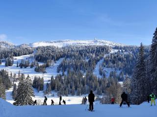 Cozy ski studio - Prémanon Jura - 50 min from Geneva - 8