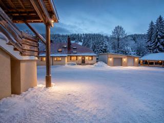 Cozy ski studio - Prémanon Jura - 50 min from Geneva - 0