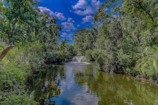 Treetops 5501 - 5