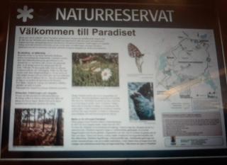 Cottages in nature paradise 25 minutes to Stockholm - 2