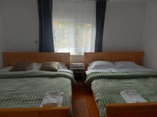 Casa din deal-Apuseni -  - 7