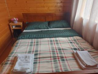 Casa din deal-Apuseni -  - 6