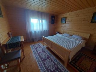 Casa din deal-Apuseni -  - 5