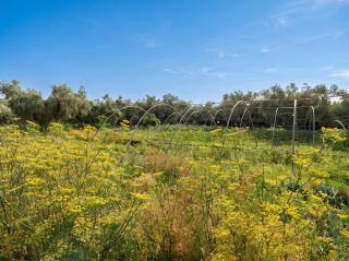 Eco Farm Tayssir Marrakech - 1