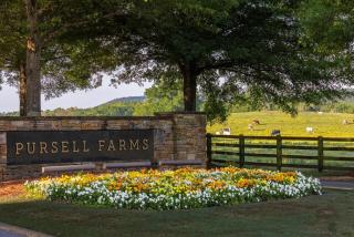 Pursell Farms - 0