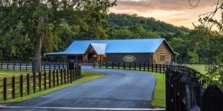 Pursell Farms - 4