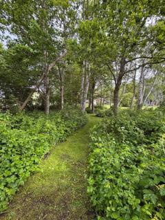 Lille Morsholt, in the middle of nature - 9