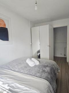 Silverthorne nest - 7