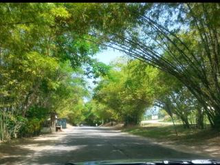 BW Hideaway Portmore Jamaica - 4