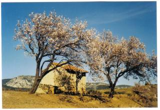 Apartment the Haven - 4