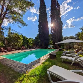 cabañas spa el petrel - 6